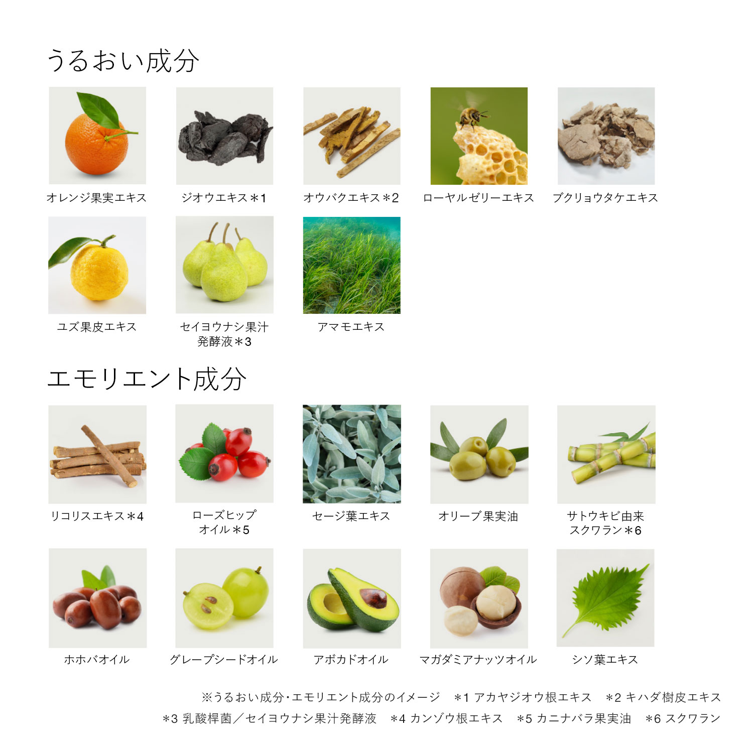 RMK Wトリートメント オイルインクリーム(レフィル) 詳細画像 1枚中4枚目