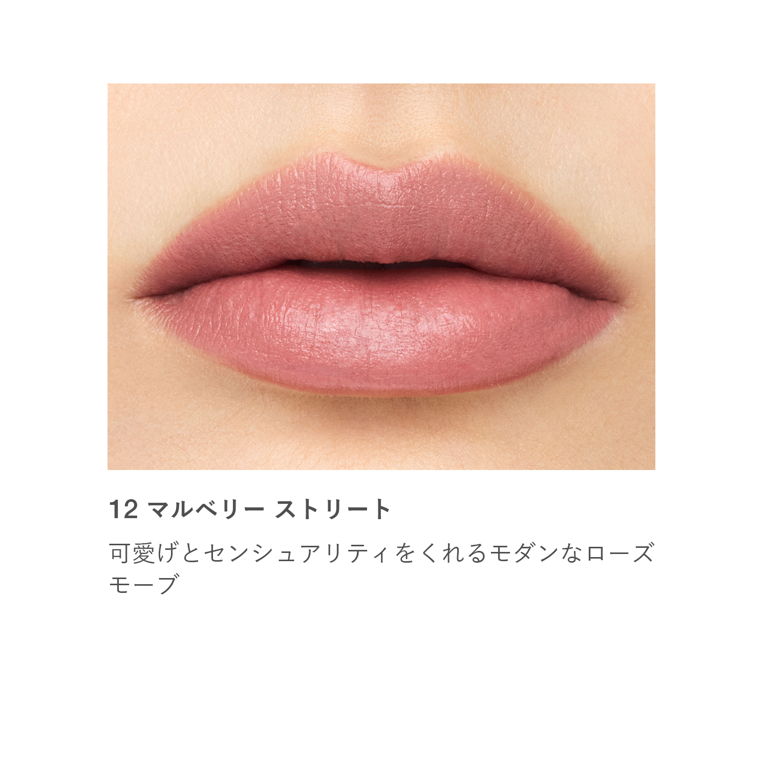 RMK ザ マット リップカラー 12 詳細画像 1枚中2枚目