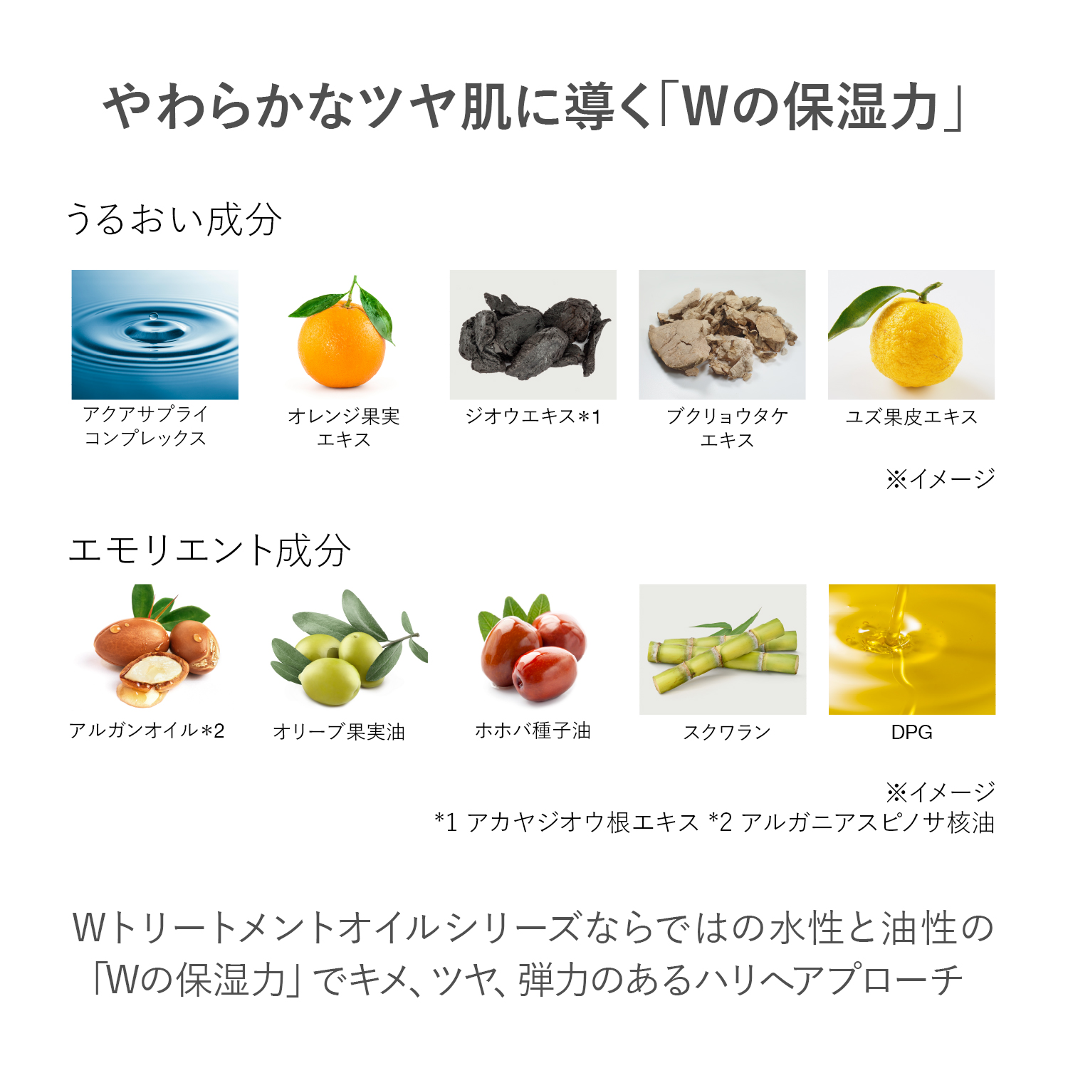 RMK Wトリートメント ローション 詳細画像 1枚中2枚目