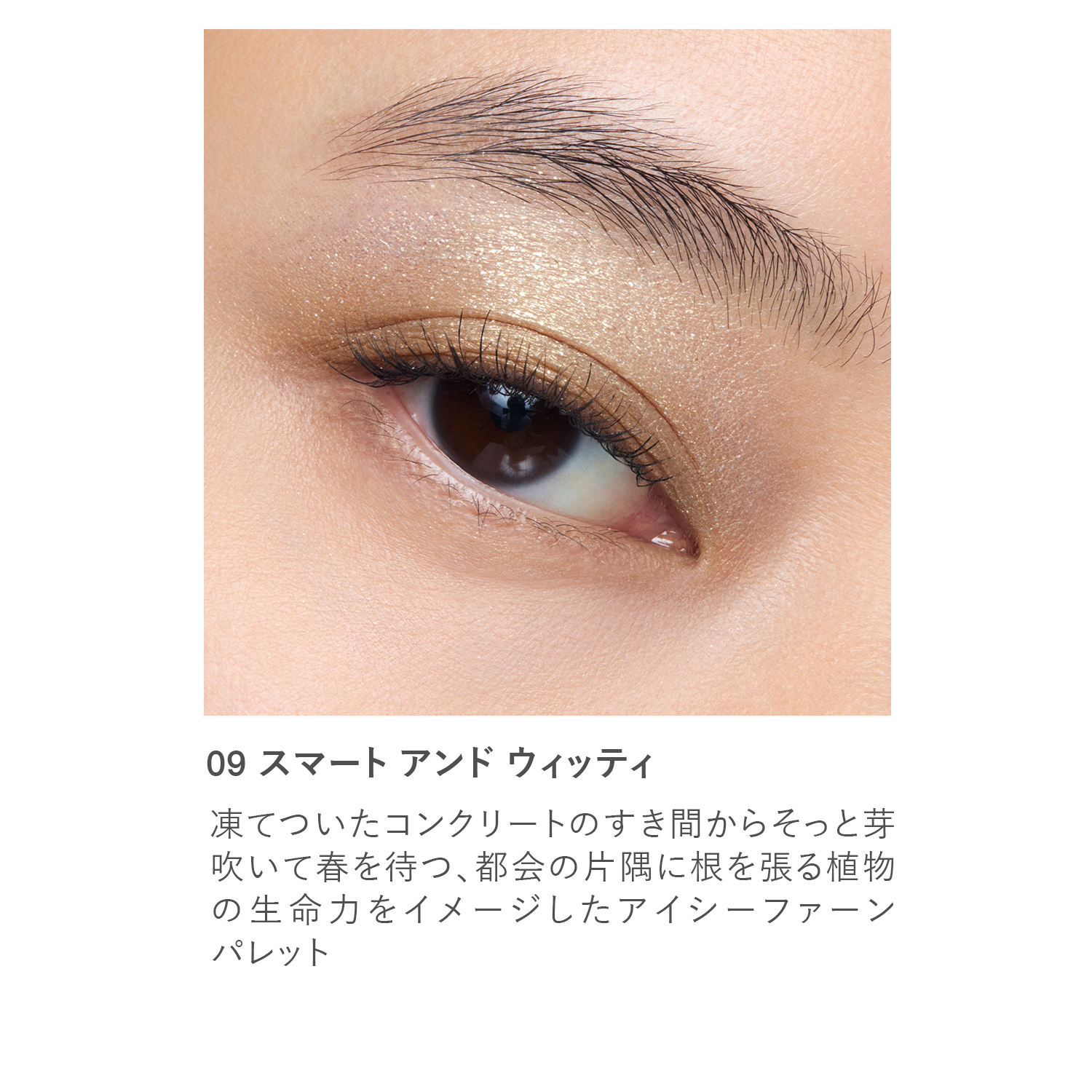 RMK シンクロマティック アイシャドウパレット 09 詳細画像 1枚中2枚目