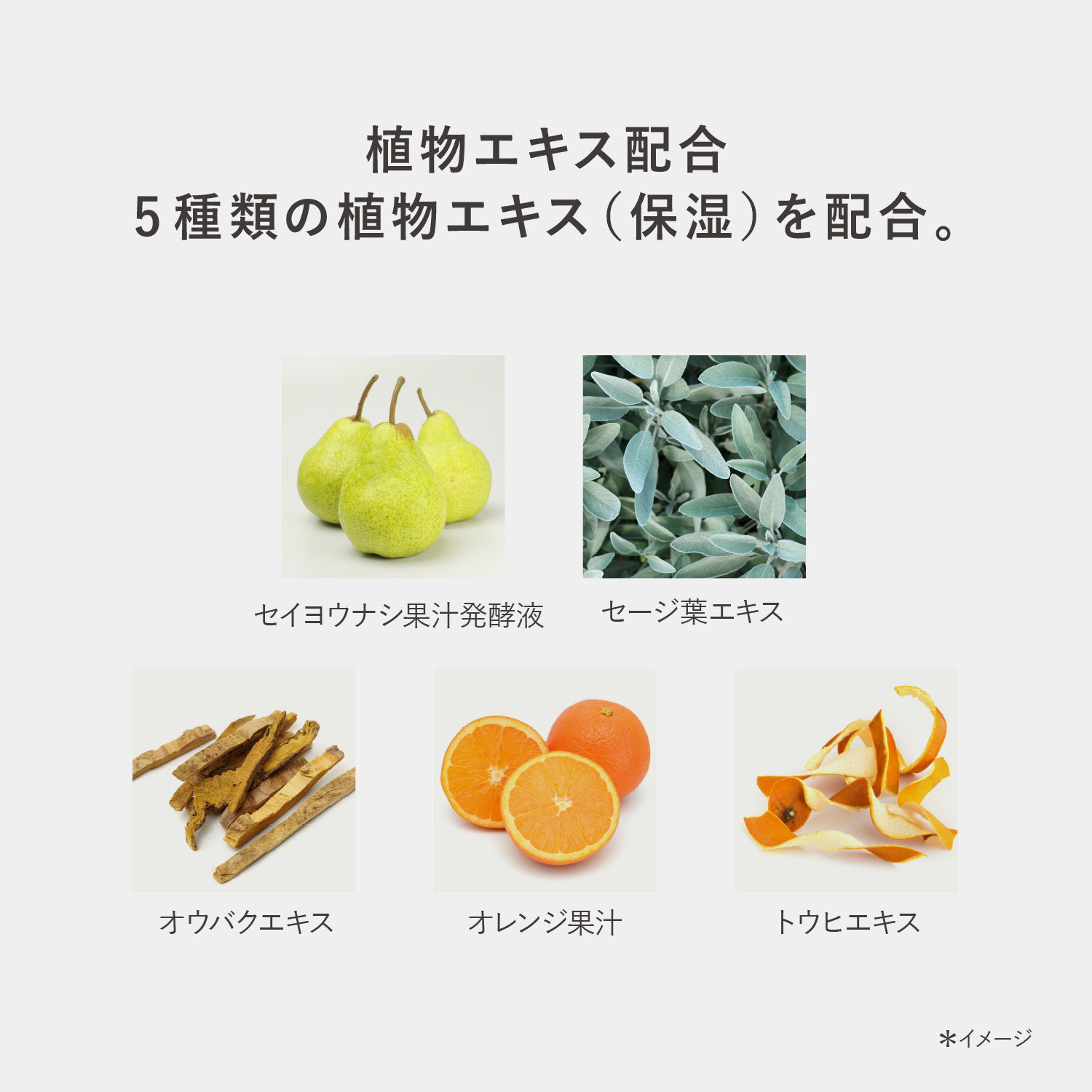 RMK スムース コンディショニング エッセンス 詳細画像 1枚中5枚目