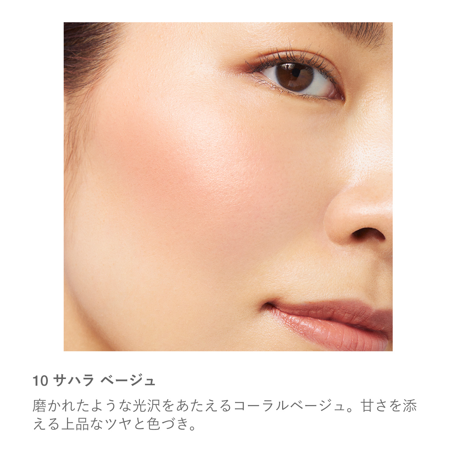 RMK ピュア コンプレクション ブラッシュ 10 サハラ ベージュ 詳細画像 1枚中4枚目