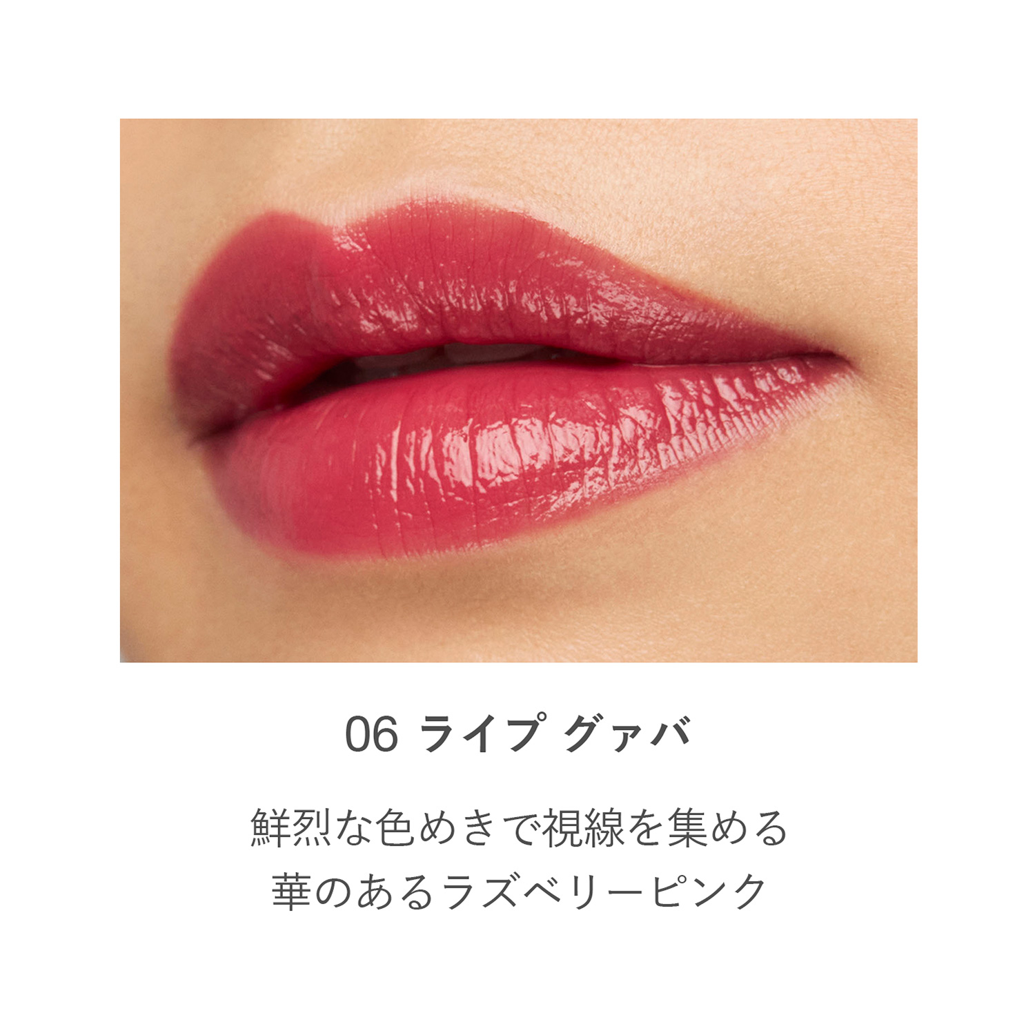 RMK デューイーメルト リップカラー(レフィル) 06 詳細画像 1枚中4枚目